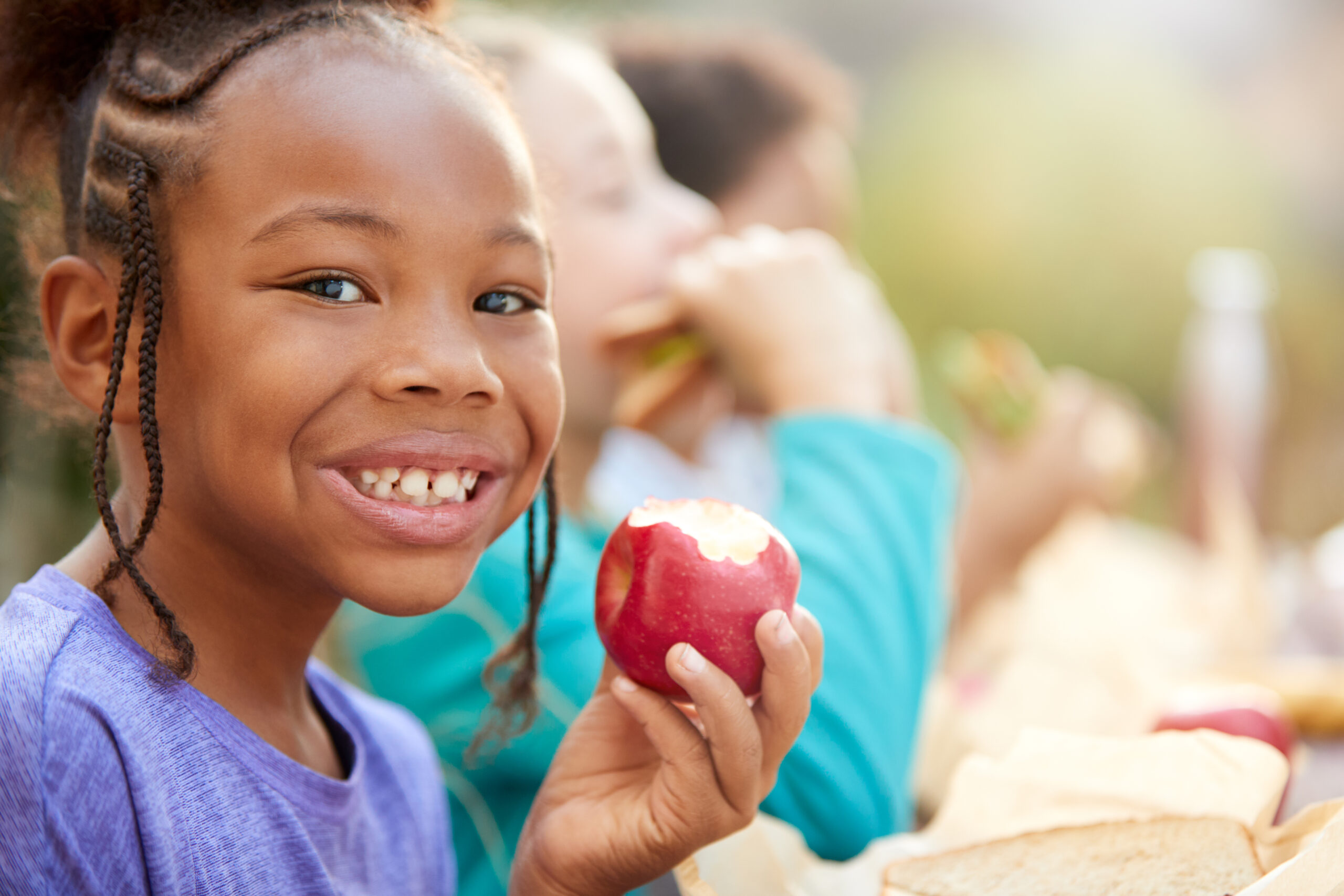 🍽️ Ejecución del Programa de Alimentación Escolar (PAE)
